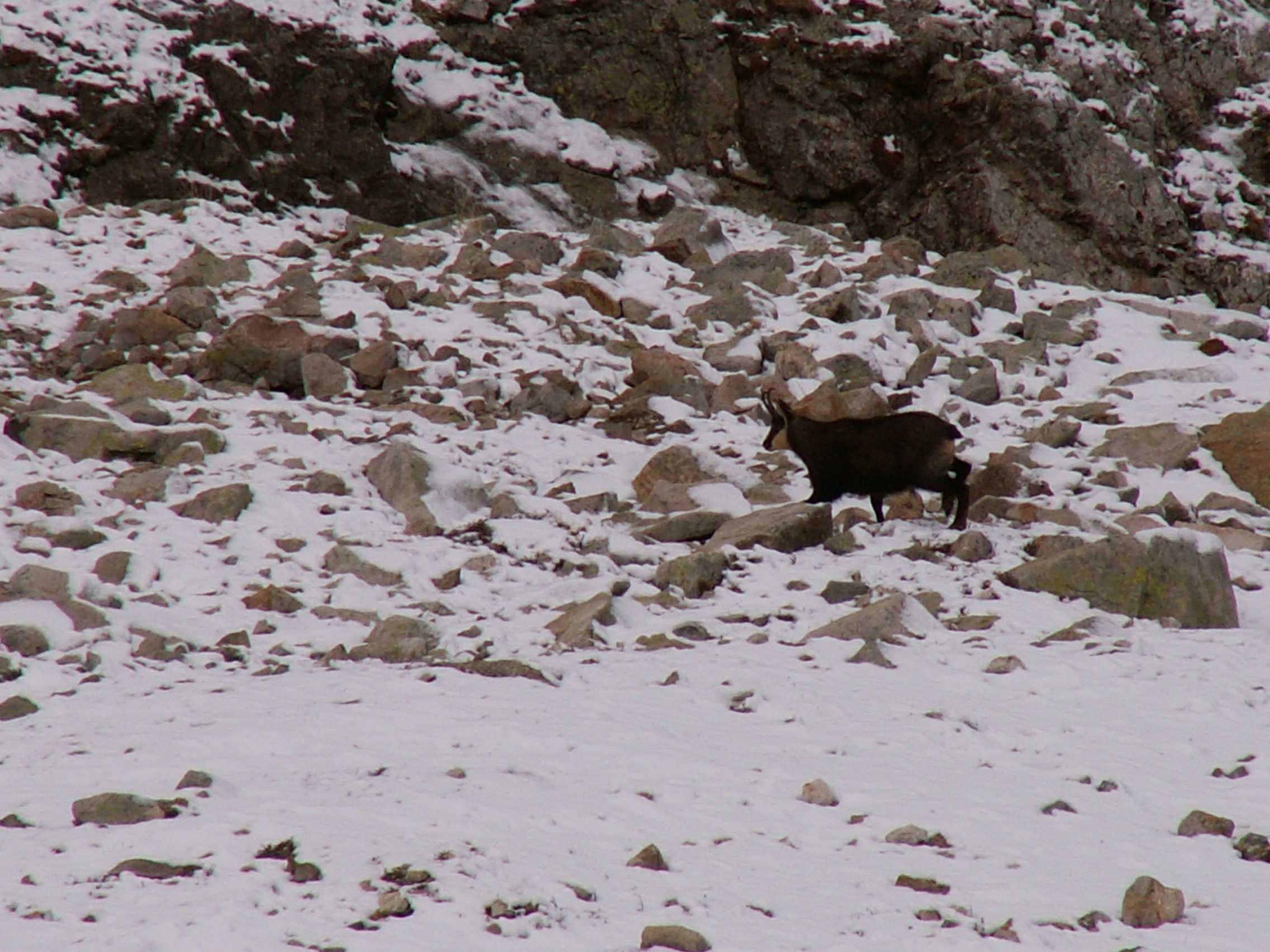 Photo Alpes Oisans Louer gite